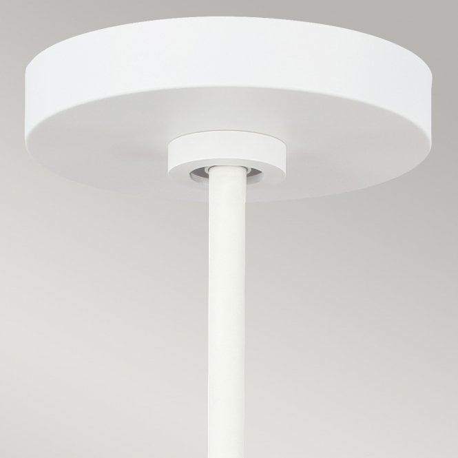 Darwin 1 Light Pendant - Matte White