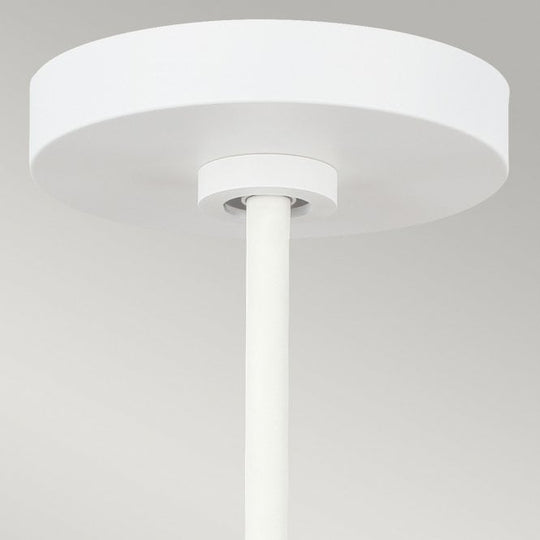 Darwin 1 Light Pendant - Matte White