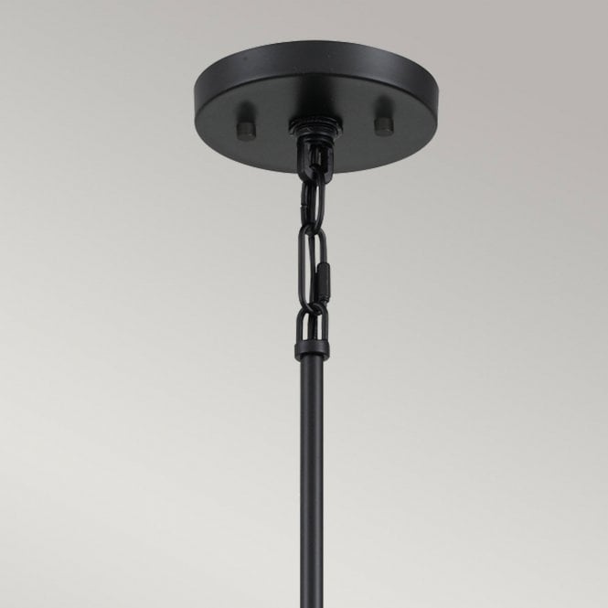 Bismarck 5 Light Chandelier Earth Black